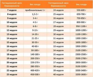 Сколько весит внутриутробный ребенок в 7 месяцев