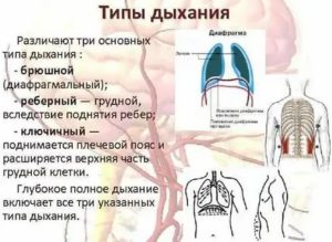 Чем отличается дыхание диафрагмой от грудного дыхания