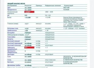 Что такое лейкоцитарная эстераза в моче у грудного ребенка