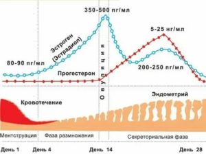 Можно ли беременеть при пониженном прогестероне