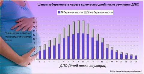 Какова вероятность зачать ребенка в день овуляции