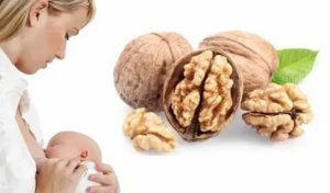 Сколько можно есть грецкого ореха после родов