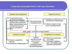 Что относится к репродуктивным действия