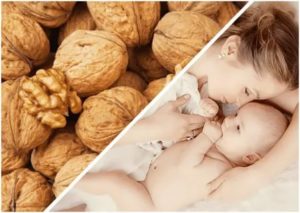 Сколько можно есть грецкого ореха после родов