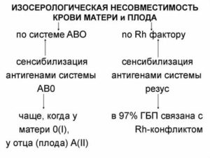 Что такое иммунологическая несовместимость крови плода и матери