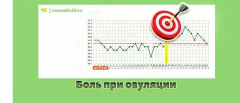 Баня после овуляции при планировании беременности