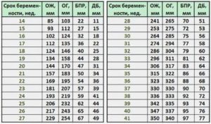 Как измеряют окружность живота плода по неделям