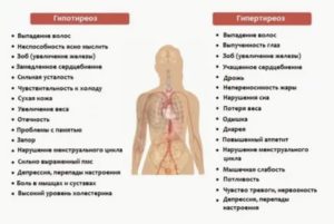 Что такое послеродовая дисфункция щитовидной железы