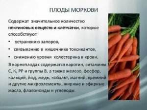 Как называется плод у моркови