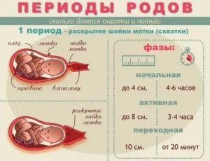 Как правильно вести себя если схватки начались одной