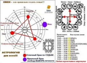 Кто подходит женщине овну рожденной в год дракона