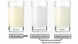 Почему грудное молоко желтого цвета почему