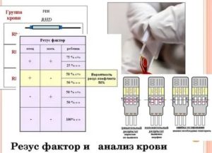 Откуда берут кровь на группу крови и резус-фактор у новорожденных