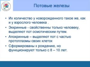 Когда у новорожденных начинают работать потовые железы