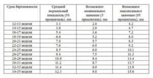 Что такое длина костной части спинки носа у плода