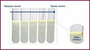 Как понять жирное ли грудное молоко или нет в домашних условиях