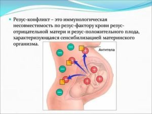 Что такое иммунологическая несовместимость крови плода и матери