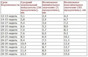 Что такое длина костной части спинки носа у плода