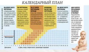 Когда происходит зачатия при 26 дневном цикле