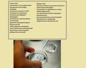 Что такое экстракорпоральное оплодотворение плюсы и минусы