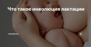 Что такое инволюция грудного молока