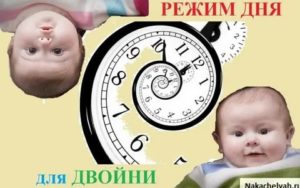 Как организовать режим дня для двойни