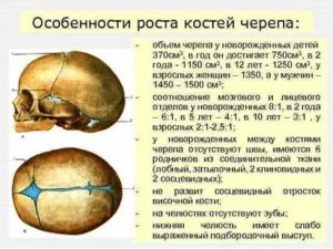 Когда срастаются кости черепа у новорожденного ребенка