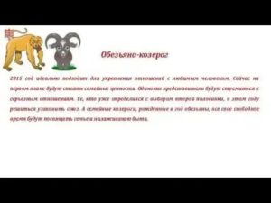 Кто подходит рожденному в год обезьяны