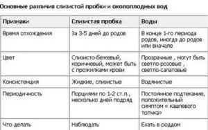 Может ли быть подтекание околоплодных вод при закрытой шейки матки