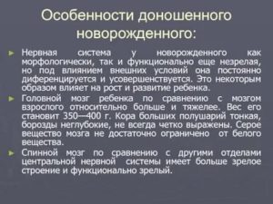 Когда у новорожденного формируется нервная система