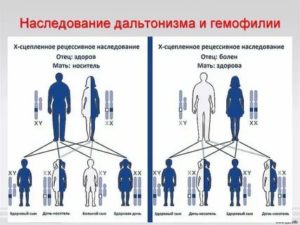 Может ли бесплодие передаваться по наследству у мужчин