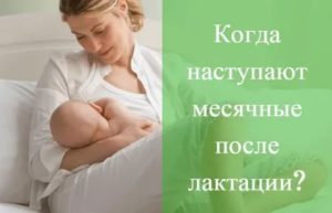 Могут ли быть скудные месячные при лактации