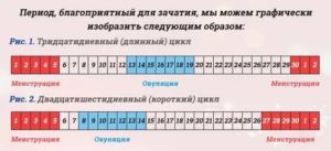 Какой день самый благоприятный для зачатия ребенка после месячных