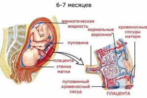 Как понять что плоду не хватает кислорода и что делать