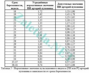 Что такое индекс резистентности в артериях пуповины