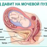Чем вреден рентген перед планированием беременности