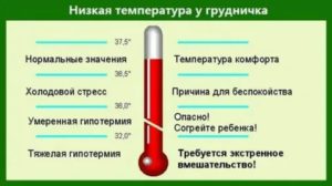 Что делать при температуре 37 у новорожденного ребенка