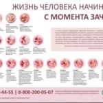 Что может новорожденный в 4 недели его жизни