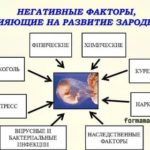 Что такое родовое окончание в русском языке