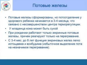 Когда у новорожденных начинают работать потовые железы