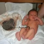 Сколько весить новорожденный поросенок