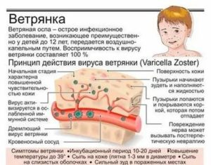 Когда можно беременеть после перенесенной ветрянки