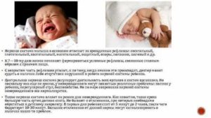 Что влияет на нервная система новорожденного ребенка
