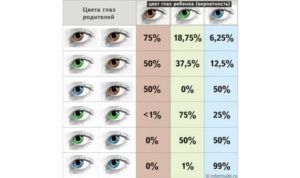 Как проверить видит ли новорожденный обеими глазами