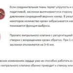 Сколько сосудов должно быть в пуповине на 1 скрининге