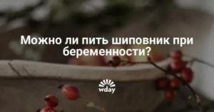 Для чего нужно пить шиповник при планировании беременности