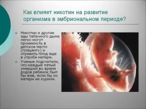 Как курение влияет на эмбриональное развитие плода