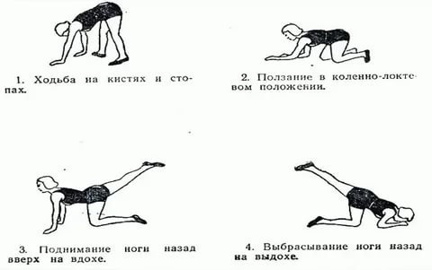 Чем можно укрепит матку для зачатия