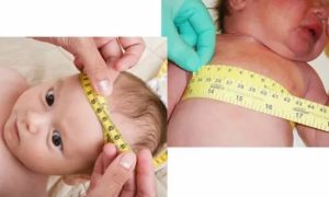 Как измерить объем головы и груди у грудничков