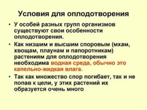 Что является необходимым условием для оплодотворения является